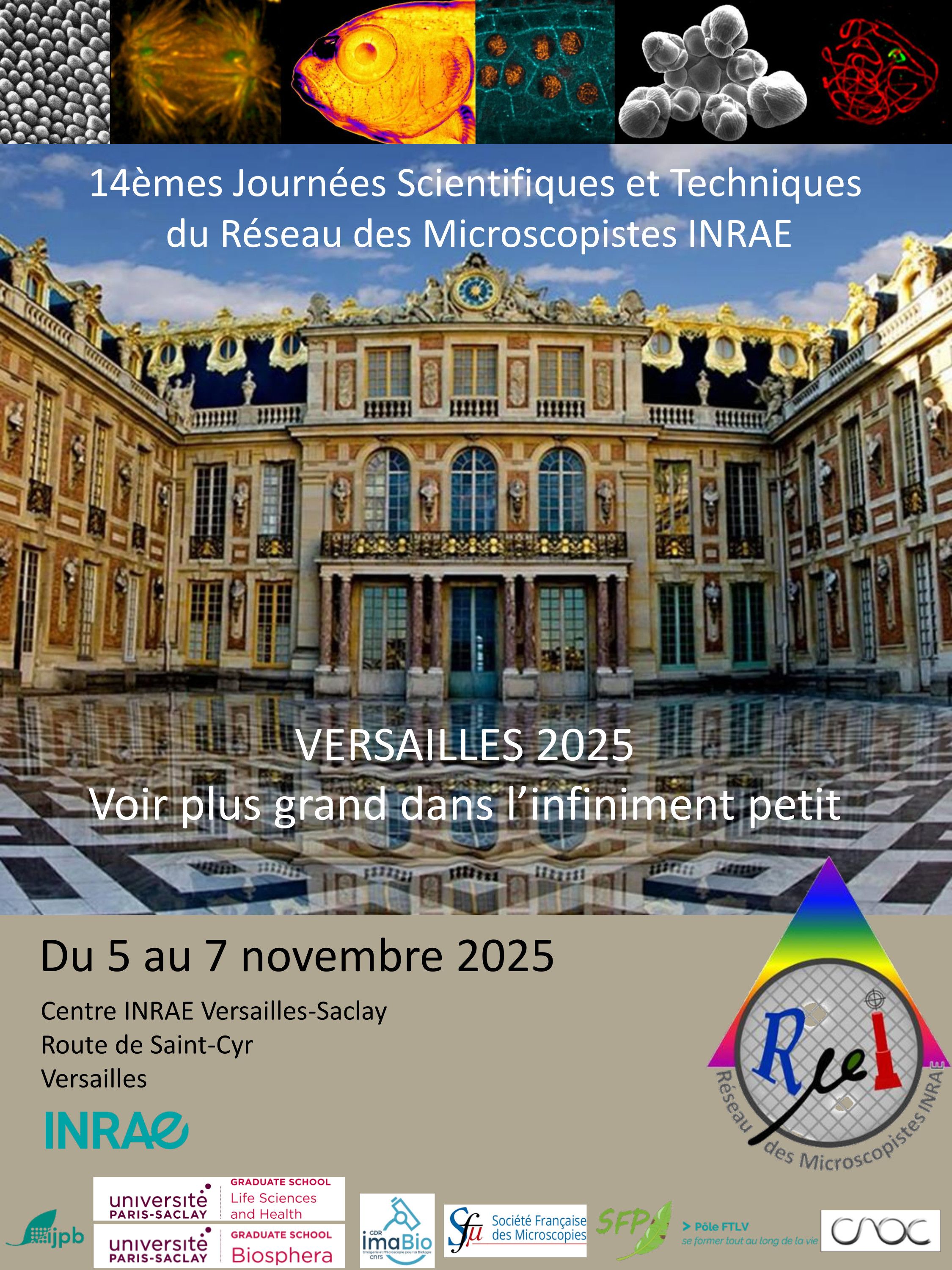 Affiche.jpg