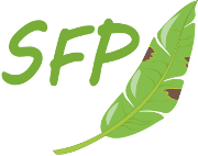 sfp_s.png