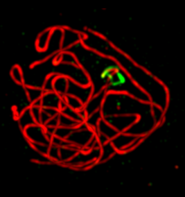 image6.png