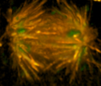 image3.png